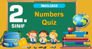 2. Sınıf İngilizce Numbers Quiz