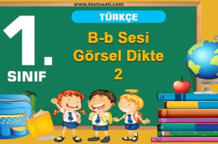 B-b Sesi Görsel Dikte-2