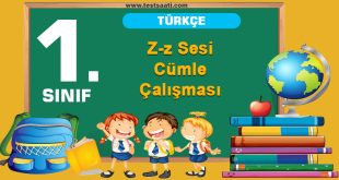 Z-z Sesi Cümle Çalışması