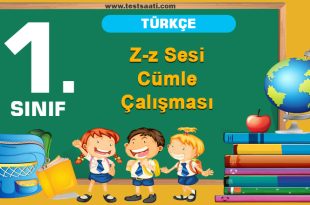 Z-z Sesi Cümle Çalışması