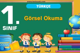 Görsel Okuma