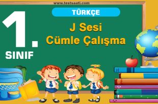 J Sesi Cümle Çalışma