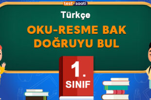 Oku-Resme Bak-Doğruyu Bul