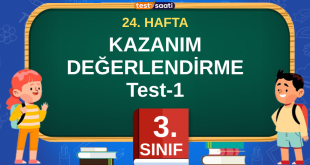 3. Sınıf 24.HAFTA