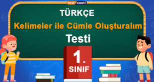 Kelimeler ile Cümle Oluşturalım
