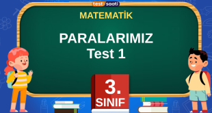 PARALARIMIZ Test-1