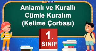 Anlamlı ve Kurallı Cümle Kuralım(Kelime Çorbası)