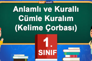 Anlamlı ve Kurallı Cümle Kuralım(Kelime Çorbası)