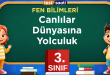 Canlılar Dünyasına Yolculuk Test-2
