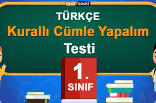 Kurallı Cümle Yapalım