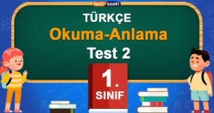 Okuma-Anlama Test 2