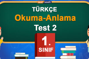 Okuma-Anlama Test 2