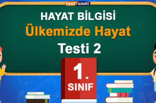 1. Sınıf Ülkemizde Hayat 2