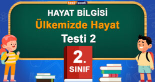 2.Sınıf Ülkemizde Hayat 2