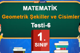 1. Sınıf Geometrik Şekiller ve Cisimler Test-6