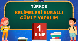 Kelimeleri-Kurallı-Cümle-Yapalım
