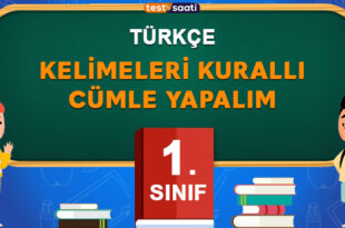 Kelimeleri-Kurallı-Cümle-Yapalım