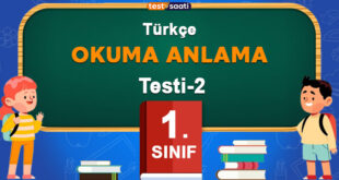 Okuma Anlama