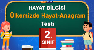 Ülkemizde Hayat-Anagram