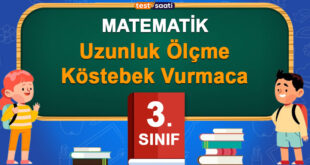 Uzunluk Ölçme Köstebek Vurmaca