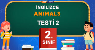 Animals Test-2