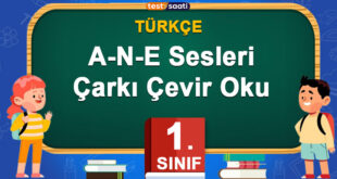 A-N-E-Sesleri-Çarkı-Çevir-Oku