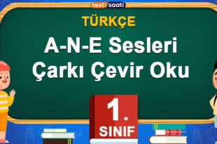 A-N-E-Sesleri-Çarkı-Çevir-Oku