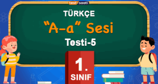 a sesi 5