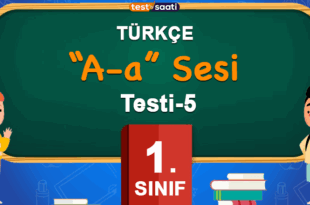 a sesi 5