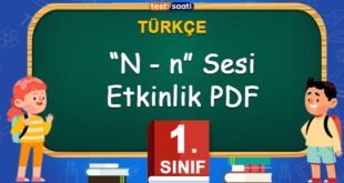 N Sesi Etkinlik Çalışma Kağıdı