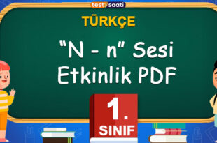 N Sesi Etkinlik Çalışma Kağıdı