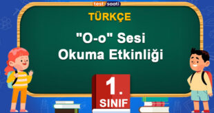 O SESİ