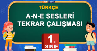 A-N-E SESLERİ TEKRAR ÇALIŞMASI