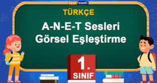 A-N-E-T Sesleri Görsel Eşleştirme
