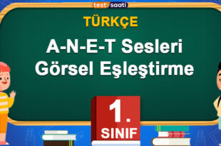 A-N-E-T Sesleri Görsel Eşleştirme