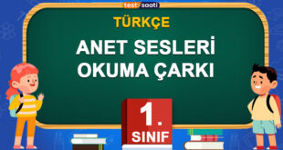 ANET SESLERİ OKUMA ÇARKI