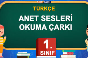 ANET SESLERİ OKUMA ÇARKI