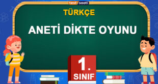 ANETİ DİKTE OYUNU