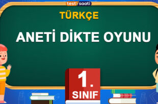 ANETİ DİKTE OYUNU