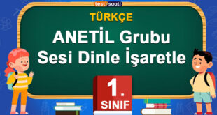 ANETİL Grubu Sesi Dinle İşaretle