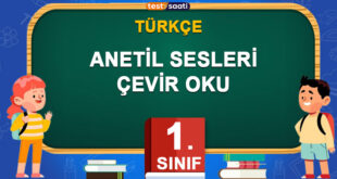 ANETİL SESLERİ ÇEVİR OKU