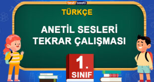 ANETİL SESLERİ TEKRAR ÇALIŞMASI