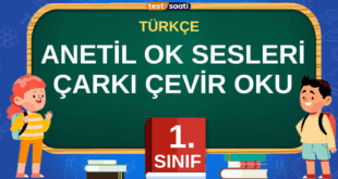 1. SINIF ANETİL OK SESLERİ ÇARKI ÇEVİR OKU
