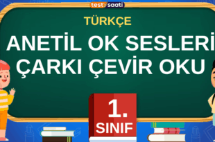 1. SINIF ANETİL OK SESLERİ ÇARKI ÇEVİR OKU