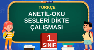 ANETİL-OKU SESLERİ DİKTE ÇALIŞMASI