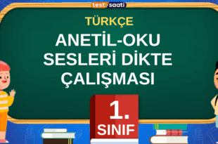 ANETİL-OKU SESLERİ DİKTE ÇALIŞMASI