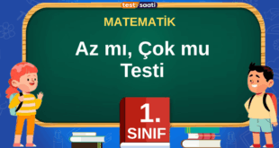 AZ MI ÇOKMU