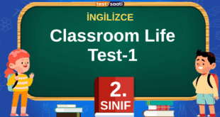 Classroom Life Test-1