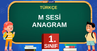 M SESİ