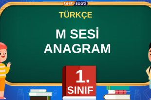 M SESİ